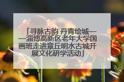 寻脉古韵 丹青绘城——淄博高新区老年大学国画班走进章丘明水古城开展文化研学活动