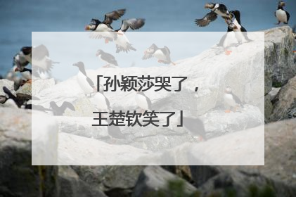 孙颖莎哭了，王楚钦笑了
