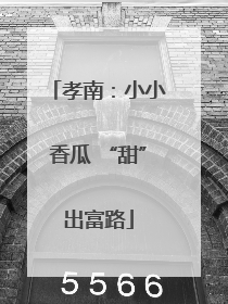 孝南：小小香瓜 “甜”出富路