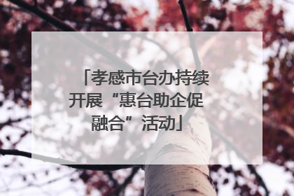 孝感市台办持续开展“惠台助企促融合”活动