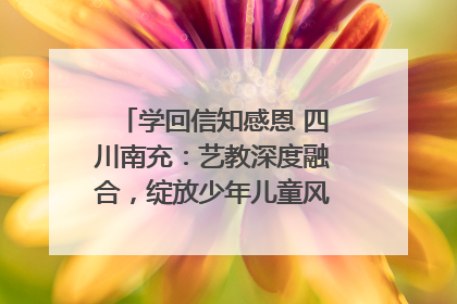 学回信知感恩 四川南充：艺教深度融合，绽放少年儿童风采｜您牵挂的四川