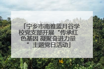 宁乡市南雅蓝月谷学校党支部开展“传承红色基因 凝聚奋进力量”主题党日活动