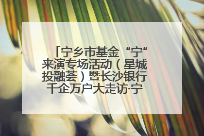 宁乡市基金“宁”来演专场活动（星城投融荟）暨长沙银行千企万户大走访·宁乡专场活动举行