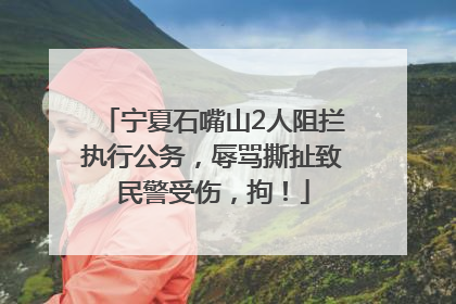 宁夏石嘴山2人阻拦执行公务，辱骂撕扯致民警受伤，拘！