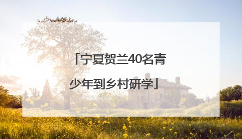 宁夏贺兰40名青少年到乡村研学