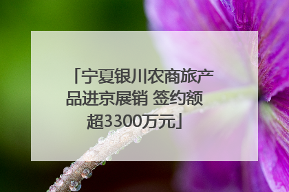宁夏银川农商旅产品进京展销 签约额超3300万元