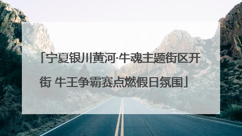 宁夏银川黄河·牛魂主题街区开街 牛王争霸赛点燃假日氛围