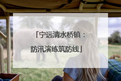 宁远清水桥镇：防汛演练筑防线