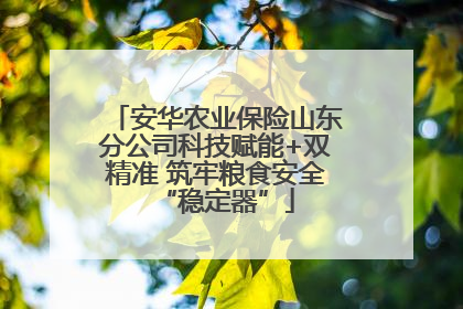 安华农业保险山东分公司科技赋能+双精准 筑牢粮食安全“稳定器”