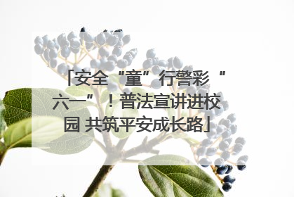 安全“童”行警彩“六一”！普法宣讲进校园 共筑平安成长路