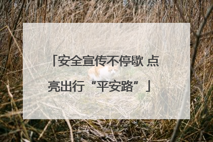 安全宣传不停歇 点亮出行“平安路”