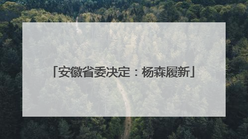 安徽省委决定：杨森履新