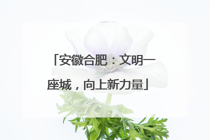 安徽合肥：文明一座城，向上新力量