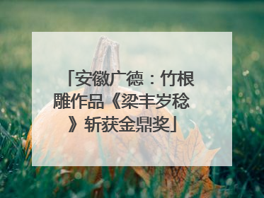 安徽广德：竹根雕作品《梁丰岁稔》斩获金鼎奖