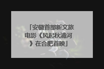 安徽首部新文旅电影《风起秋浦河》在合肥首映