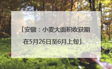 安徽：小麦大面积收获期在5月26日至6月上旬