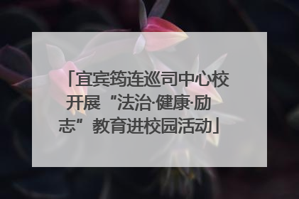宜宾筠连巡司中心校开展“法治·健康·励志”教育进校园活动