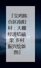 宝鸡陈仓区南阳村：大棚经济结硕果 乡村振兴绘新图