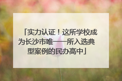 实力认证！这所学校成为长沙市唯一一所入选典型案例的民办高中
