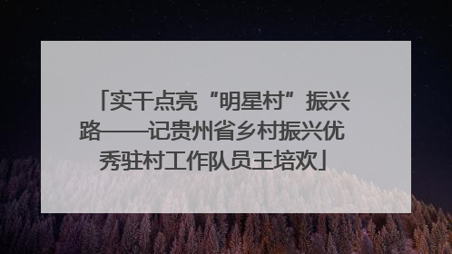实干点亮“明星村”振兴路——记贵州省乡村振兴优秀驻村工作队员王培欢