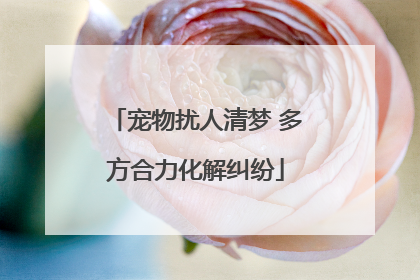 宠物扰人清梦 多方合力化解纠纷