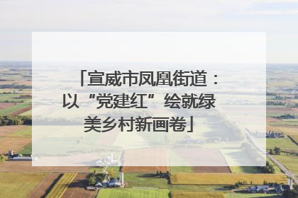 宣威市凤凰街道：以“党建红”绘就绿美乡村新画卷