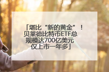 堪比“新的黄金”！贝莱德比特币ETF总规模达700亿美元 仅上市一年多