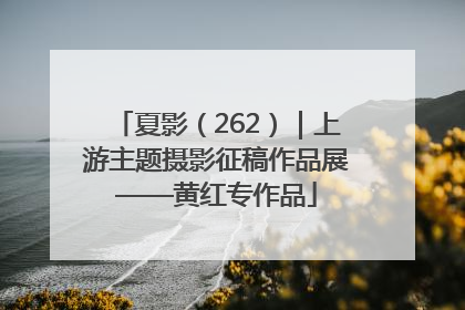 夏影（262）｜上游主题摄影征稿作品展——黄红专作品