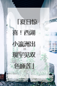 夏日惊喜！西湖小瀛洲出现罕见双色睡莲