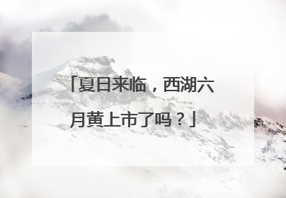 夏日来临，西湖六月黄上市了吗？