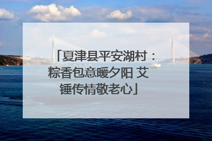 夏津县平安湖村：粽香包意暖夕阳 艾锤传情敬老心