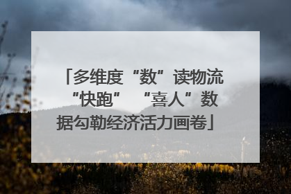 多维度“数”读物流“快跑” “喜人”数据勾勒经济活力画卷