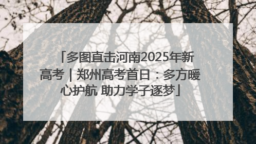多图直击河南2025年新高考｜郑州高考首日：多方暖心护航 助力学子逐梦