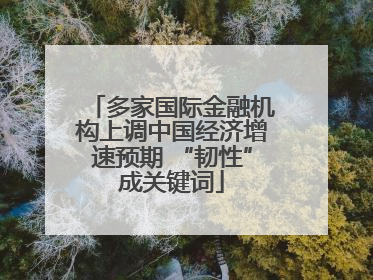 多家国际金融机构上调中国经济增速预期 “韧性”成关键词
