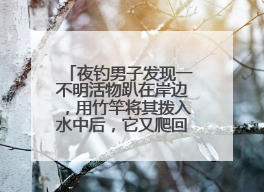 夜钓男子发现一不明活物趴在岸边，用竹竿将其拨入水中后，它又爬回岸边……