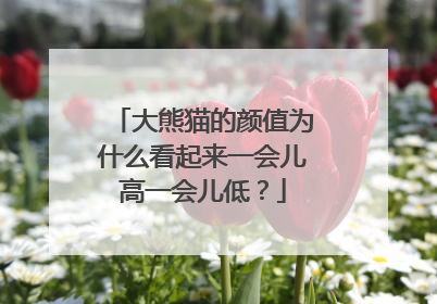 大熊猫的颜值为什么看起来一会儿高一会儿低？