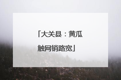 大关县：黄瓜触网销路宽