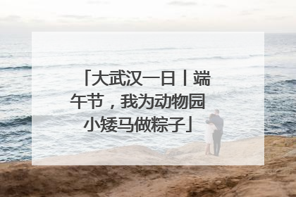 大武汉一日丨端午节，我为动物园小矮马做粽子
