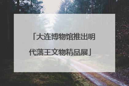 大连博物馆推出明代藩王文物精品展