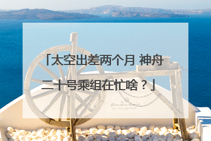 太空出差两个月 神舟二十号乘组在忙啥？