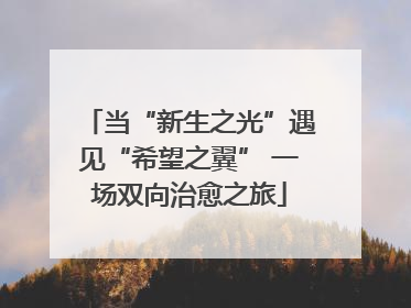当“新生之光”遇见“希望之翼” 一场双向治愈之旅