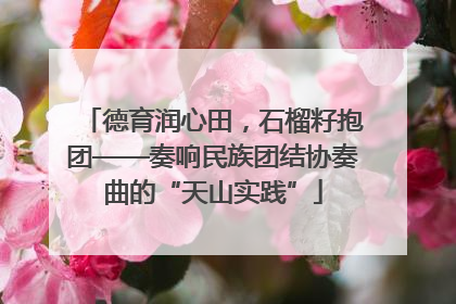 德育润心田，石榴籽抱团——奏响民族团结协奏曲的“天山实践”