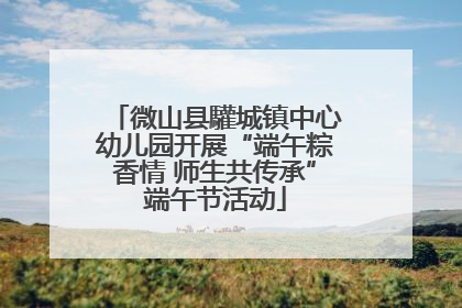 微山县驩城镇中心幼儿园开展“端午粽香情 师生共传承”端午节活动