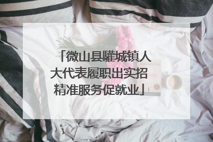 微山县驩城镇人大代表履职出实招精准服务促就业