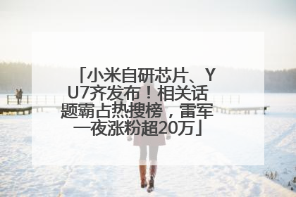 小米自研芯片、YU7齐发布！相关话题霸占热搜榜，雷军一夜涨粉超20万