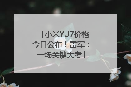 小米YU7价格今日公布！雷军：一场关键大考