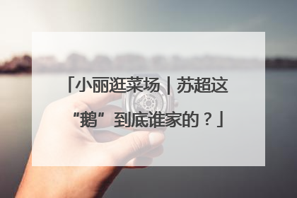 小丽逛菜场｜苏超这“鹅”到底谁家的？