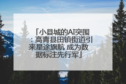 小县城的AI突围：高青县田镇街道引来星途旗航 成为数据标注先行军