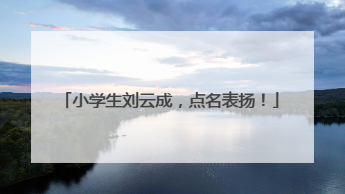小学生刘云成，点名表扬！