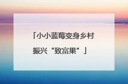 小小蓝莓变身乡村振兴“致富果”